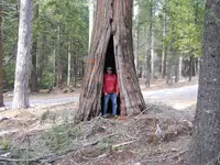 DSCN0507.webp