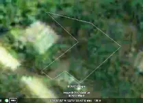 lot.webp