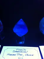 photo (3).webp
