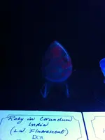 photo (4).webp