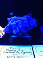 photo (6).webp