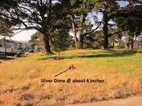 Median Strip SF 5-28-12 004.webp