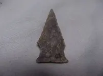 DSCF0101.webp
