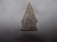 DSCF0102.webp