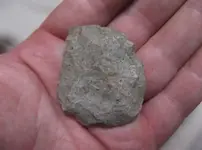 DSCF0104.webp