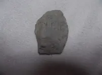 DSCF0110.webp
