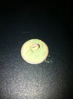 back of flat button.webp