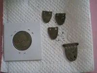 scales precleaning.webp