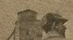 Baseball Photo Original 200 dpi (2).webp
