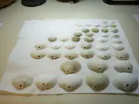 Clay Babies - 5-26 001 (1).webp