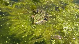 6 070_800_450.webp
