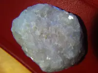 photo.webp