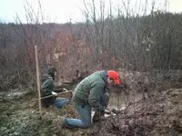 DSCF0009.webp