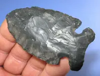 arrowhead 2.webp