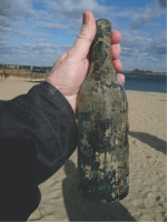 bottle small for web2.gif