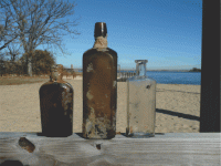Untitled-1.gif