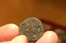 Silver quarter (8).webp