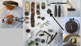 Finds at park.webp