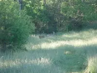 MD 5-12-12 001.webp