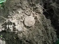 MD 5-12-12 004.webp