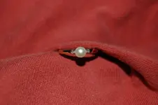 DSC_0016.webp