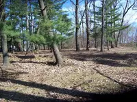 Church Grove#4.webp
