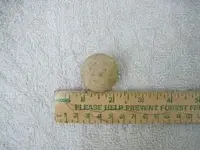 13.webp
