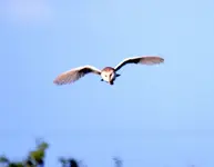20120609_65.webp 20120609_65.webp