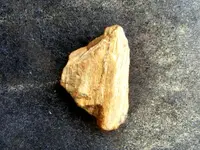 DSCF0007.webp