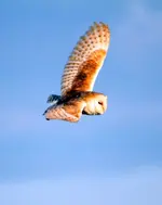 20120609_75.webp