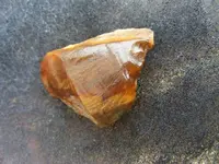 DSCF0015.webp