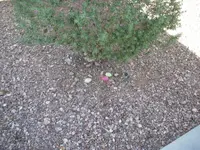 DSCN3685.webp