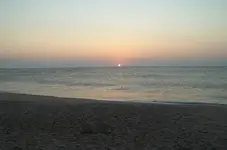 101_0373.webp