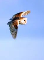 20120609_76.webp