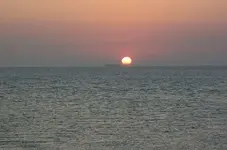 101_0372.webp