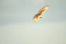 20120609_77a.webp 20120609_77a.webp