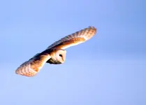 20120609_79.webp 20120609_79.webp