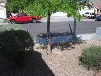 DSCN3675.webp