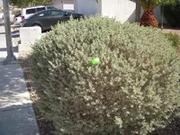 DSCN3683.webp