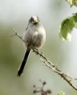 20120608_1.webp
