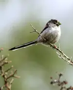 20120608_10.webp 20120608_10.webp