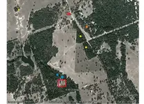 Homestead.webp