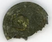 Firmin & Sons Button006.webp