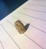 20120408150008.webp 20120408150008.webp