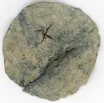 Lead Disc a003.webp