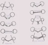 snaffle_bits_adv[1].webp