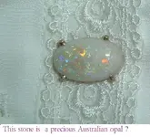 DSCF1407.webp