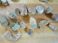 CTX FINDS AND VIDEOS 2011-08-10 004.webp