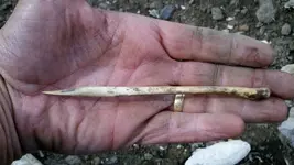 2012-04-20_15-43-30_314 (1024x577).webp