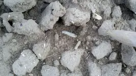 2012-04-20_16-36-10_843 (1024x577).webp